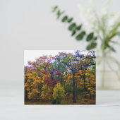 Donkere herfstbos briefkaart (Staand voorkant)