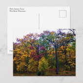 Donkere herfstbos briefkaart (Voorkant / Achterkant)