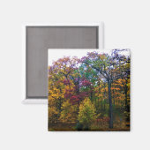 Donkere herfstbos magneet (Voorkant / Achterkant)