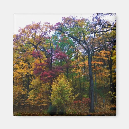Donkere herfstbos magneet (Voorkant)