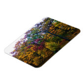 Donkere herfstbos magneet (Linkerzijde)