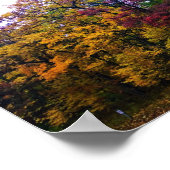 Donkere herfstbos poster (Hoek)