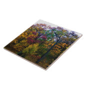 Donkere herfstbos tegeltje (Zijkant)