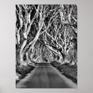 Donkere hoeken B&W afdrukken Poster