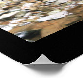 Donkere Holle Herfsten afdrukken #4838 Poster (Hoek)