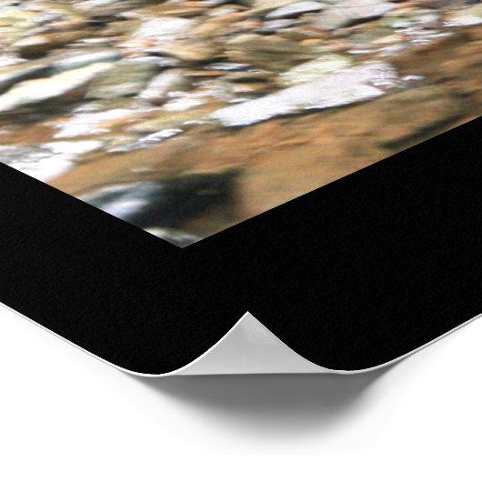 Donkere Holle Herfsten afdrukken #4838 Poster (Hoek)