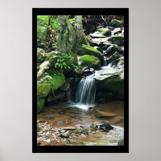 Donkere Holle Herfsten afdrukken #4838 Poster (Voorkant)