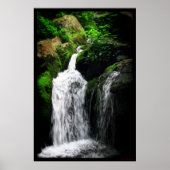 Donkere Holle Herfsten afdrukken #4982 Poster (Voorkant)