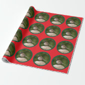Donkere Junco Kerst Cadeaupapier (Uitgerold)