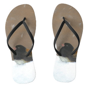 Donkere Junco-schilderijen - originele vogelkunst Teenslippers