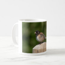 Donkere Junco - Vogel fotografie in fijne kunst