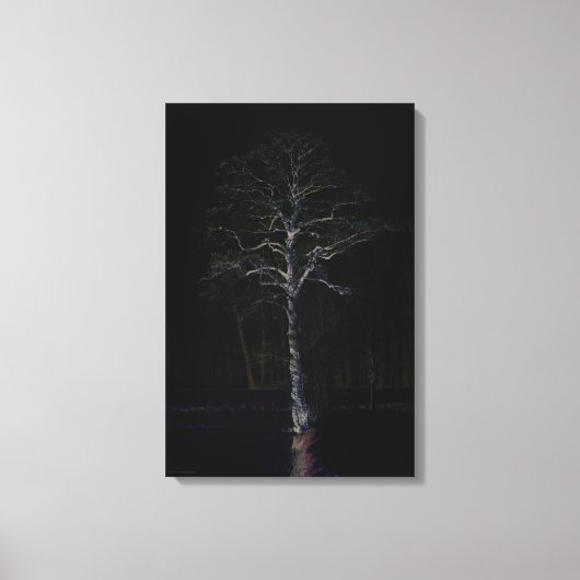 Donkere kant 3 16x24 (40x60cm) waccna canvas afdruk (Voorkant)