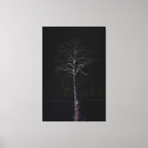 Donkere kant 3 40x60 (100x150cm) waccna canvas afdruk