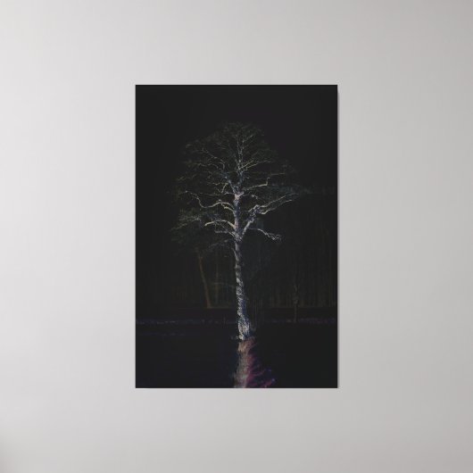 Donkere kant 3 40x60 (100x150cm) waccnm canvas afdruk (Voorkant)