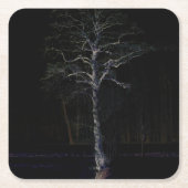 Donkere kant 3 coastercnm kartonnen onderzetters (Voorkant)