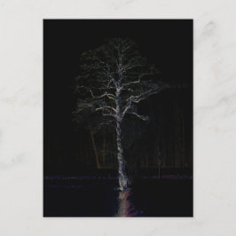 Donkere kant 3 pccnm briefkaart