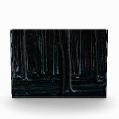 Donkere kant 6 pbcna fotoblokken (Voorkant)