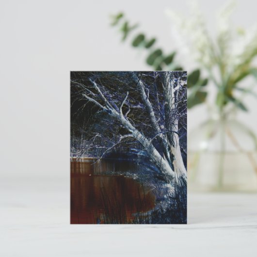 Donkere kant 7 pccnm briefkaart (Staand voorkant)