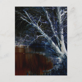 Donkere kant 7 pccnm briefkaart