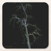 Donkere kant 8 coastercnm kartonnen onderzetters (Voorkant)