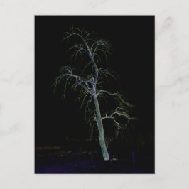 Donkere kant 8 pccnm briefkaart