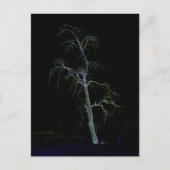 Donkere kant 8 pccnm briefkaart (Voorkant)