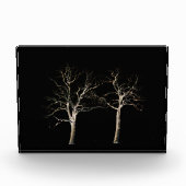 Donkere kant 9 pbcna fotoblokken (Voorkant)