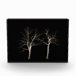 Donkere kant 9 pbcna fotoblokken