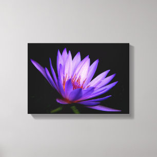 Donkere kant van het Lily Canvas Afdruk