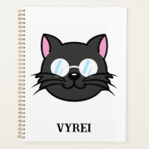 Donkere Kat Zwart Kat Grijs Kat Dragen Bril