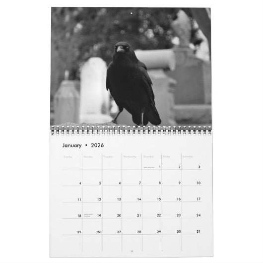 Donkere kraaien Kalender 2024 (Jan 2026)