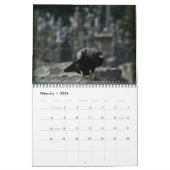 Donkere kraaien Kalender 2024 (Feb 2026)