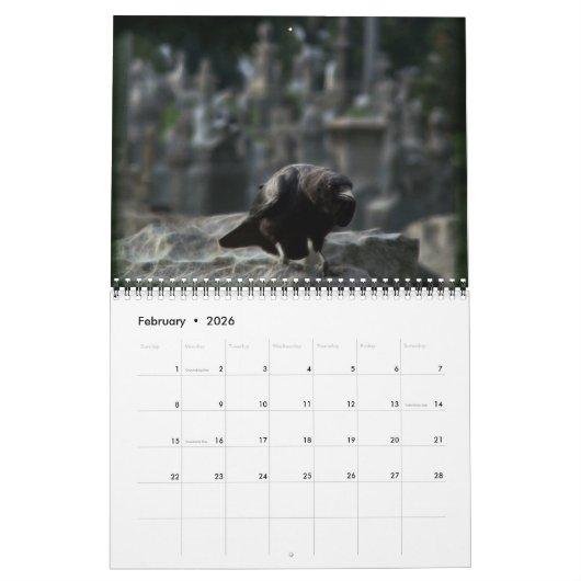 Donkere kraaien Kalender 2024 (Feb 2026)