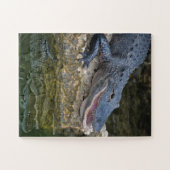 Donkere krokodil met heldere reflectie in water legpuzzel (Horizontaal)