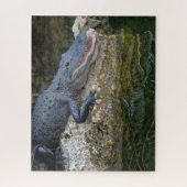 Donkere krokodil met heldere reflectie in water legpuzzel (Verticaal)