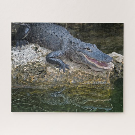 Donkere krokodil met heldere reflectie in water legpuzzel (Horizontaal)