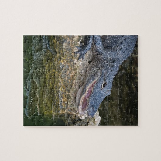 Donkere krokodil met heldere reflectie in water legpuzzel (Horizontaal)