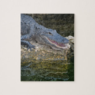 Donkere krokodil met heldere reflectie in water legpuzzel