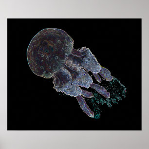Donkere Kunstkwalposter van J.W. Fatherree. Poster