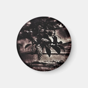 Donkere lente magneet