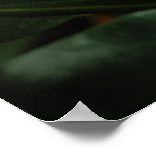 Donkere Magnolia Canvas Afdrukken Poster (Hoek)