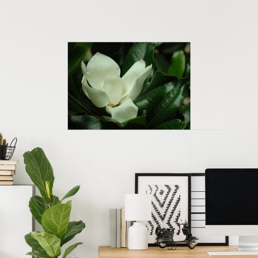 Donkere Magnolia Canvas Afdrukken Poster (Thuiskantoor)