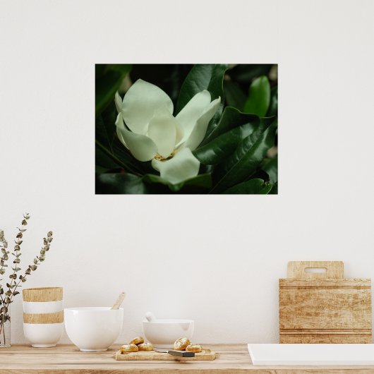 Donkere Magnolia Canvas Afdrukken Poster (Keuken)