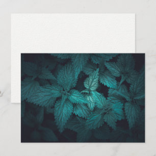 Donkere moody floral natuur fotokaart