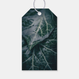 Donkere Moody Ivy Leaves Natuur Foto Cadeaulabel