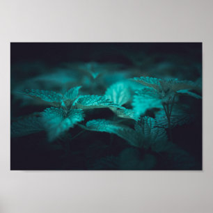 Donkere Moody Stinging Nettle Natuur Foto Poster