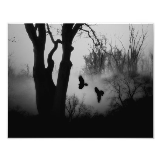 Donkere mysterieuze bosgewassen foto afdruk (Voorkant)