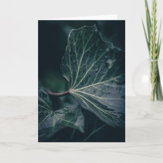 Donkere Natuur met blauw Ivy Leaf Kaart (Voorkant)