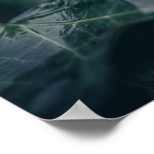 Donkere Natuur met blauw Ivy Leaf Poster (Hoek)