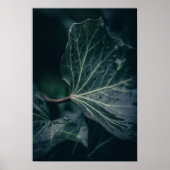 Donkere Natuur met blauw Ivy Leaf Poster (Voorkant)
